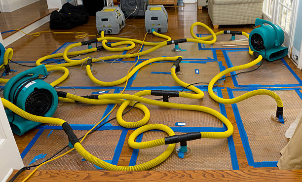 Professional Burst Pipe Water Damage technician working in Barnum, IA